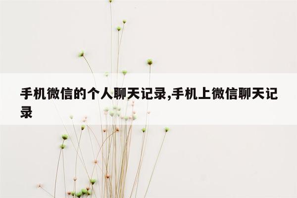 手机微信的个人聊天记录,手机上微信聊天记录