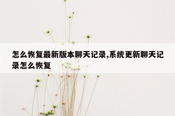 怎么恢复最新版本聊天记录,系统更新聊天记录怎么恢复