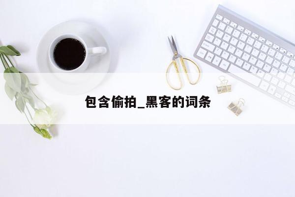 包含偷拍_黑客的词条