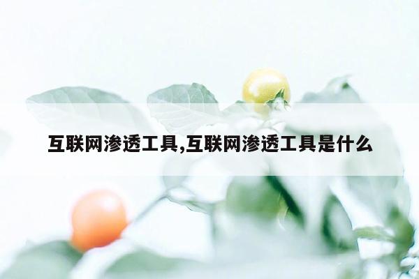 互联网渗透工具,互联网渗透工具是什么