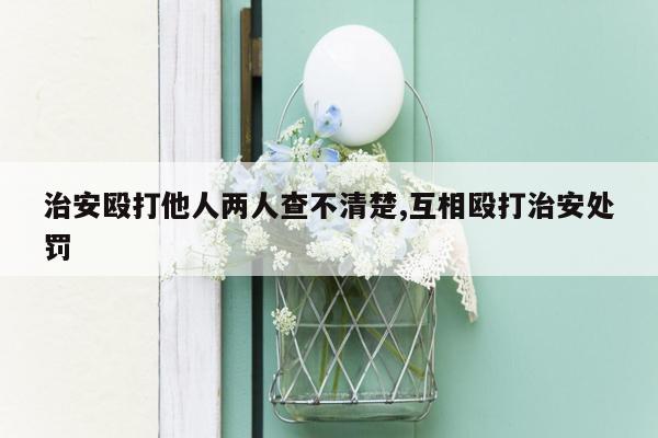 治安殴打他人两人查不清楚,互相殴打治安处罚