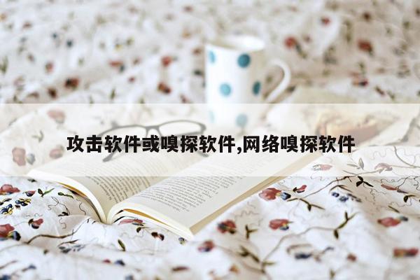 攻击软件或嗅探软件,网络嗅探软件