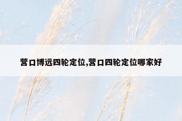 营口博远四轮定位,营口四轮定位哪家好