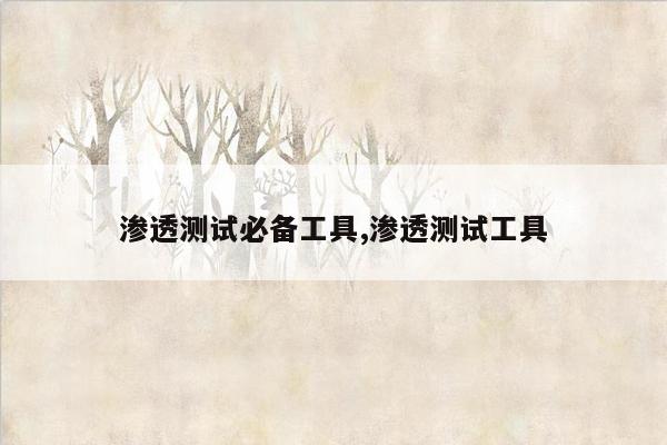 渗透测试必备工具,渗透测试工具
