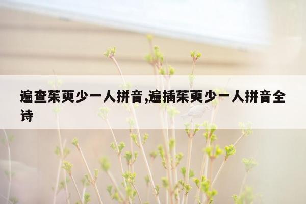 遍查茱萸少一人拼音,遍插茱萸少一人拼音全诗