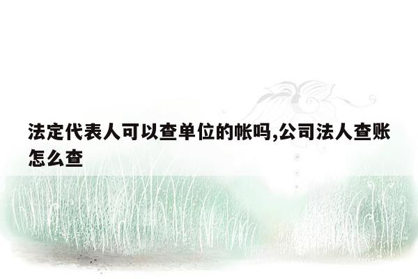 法定代表人可以查单位的帐吗,公司法人查账怎么查