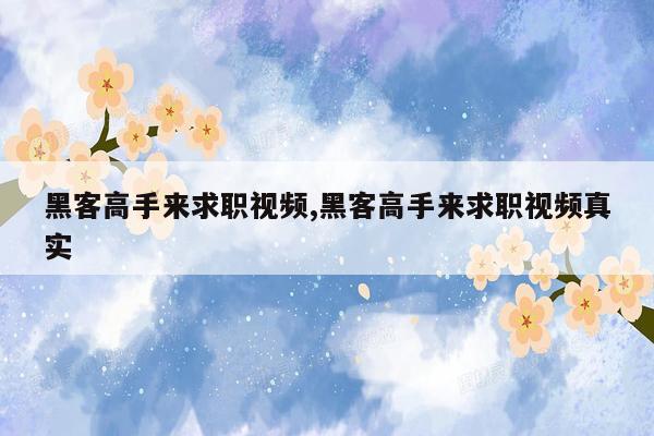 黑客高手来求职视频,黑客高手来求职视频真实