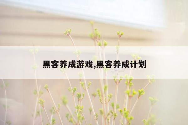 黑客养成游戏,黑客养成计划