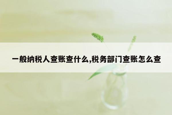 一般纳税人查账查什么,税务部门查账怎么查