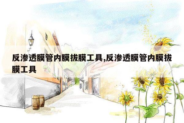 反渗透膜管内膜拔膜工具,反渗透膜管内膜拔膜工具