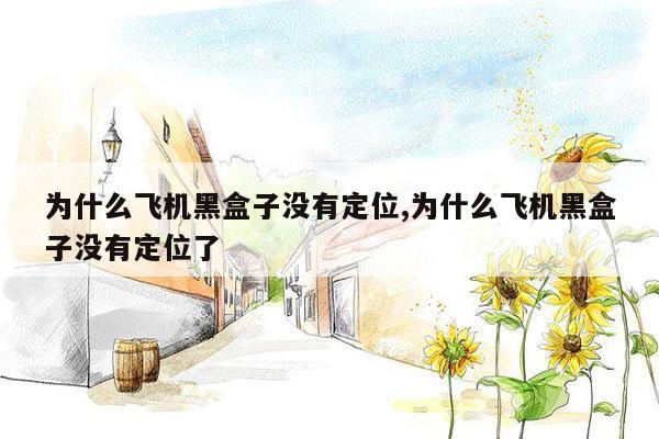 为什么飞机黑盒子没有定位,为什么飞机黑盒子没有定位了
