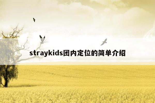 straykids团内定位的简单介绍