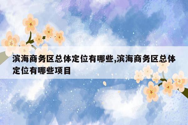 滨海商务区总体定位有哪些,滨海商务区总体定位有哪些项目