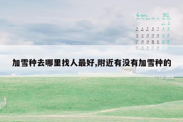 加雪种去哪里找人最好,附近有没有加雪种的