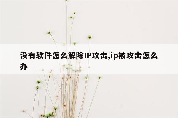 没有软件怎么解除IP攻击,ip被攻击怎么办