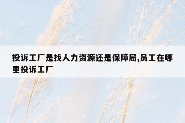 投诉工厂是找人力资源还是保障局,员工在哪里投诉工厂