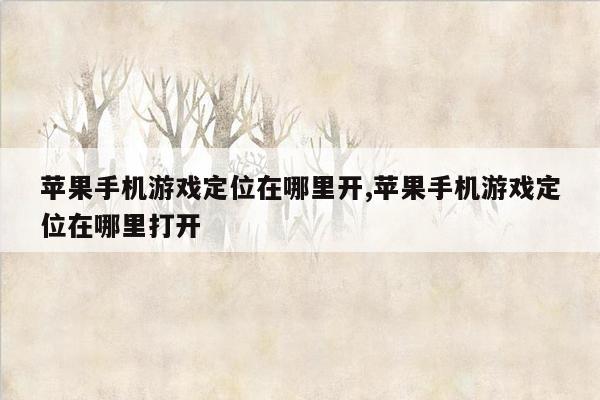 苹果手机游戏定位在哪里开,苹果手机游戏定位在哪里打开