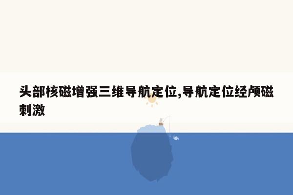 头部核磁增强三维导航定位,导航定位经颅磁刺激