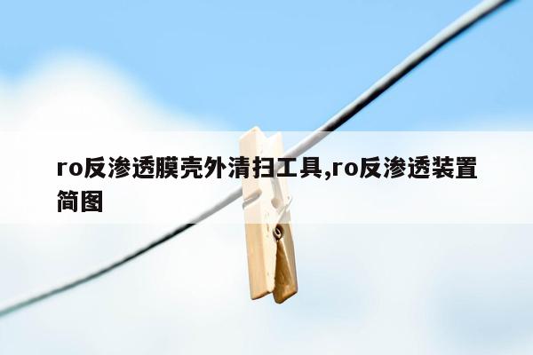 ro反渗透膜壳外清扫工具,ro反渗透装置简图