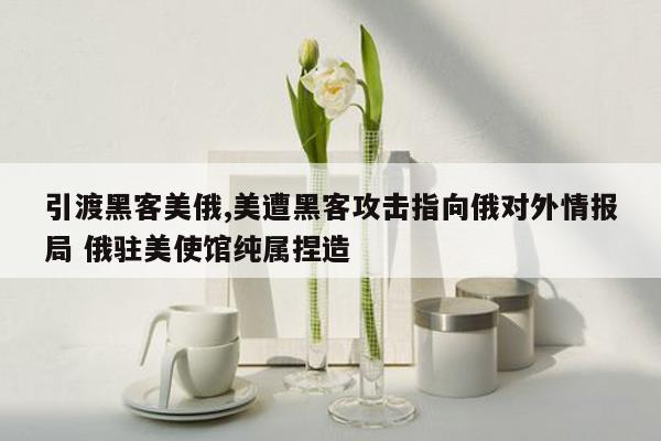 引渡黑客美俄,美遭黑客攻击指向俄对外情报局 俄驻美使馆纯属捏造