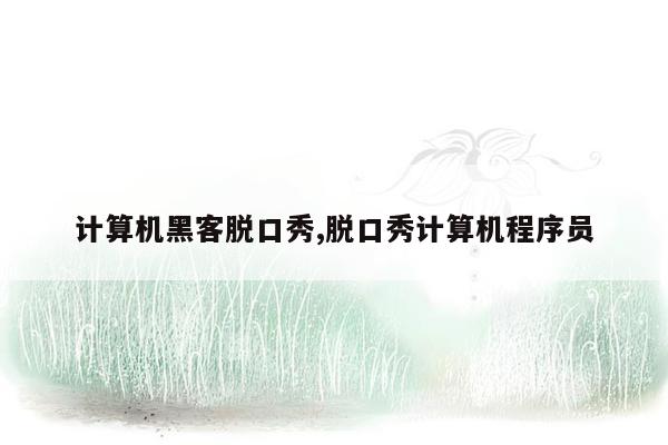 计算机黑客脱口秀,脱口秀计算机程序员