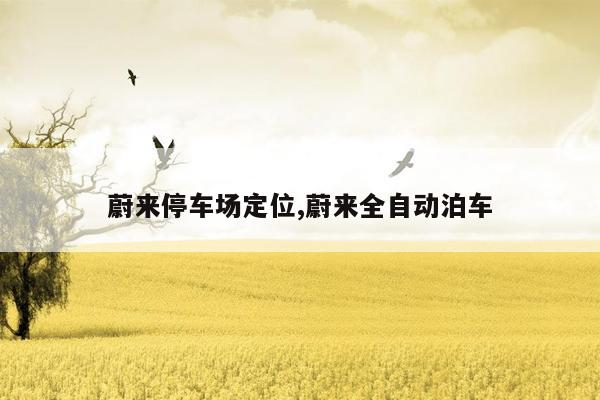 蔚来停车场定位,蔚来全自动泊车