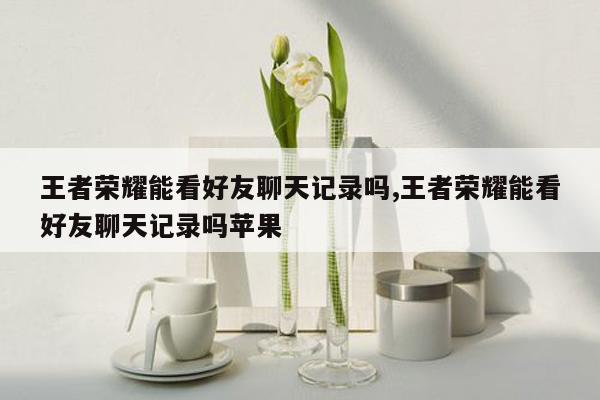王者荣耀能看好友聊天记录吗,王者荣耀能看好友聊天记录吗苹果