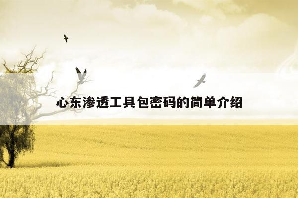 心东渗透工具包密码的简单介绍