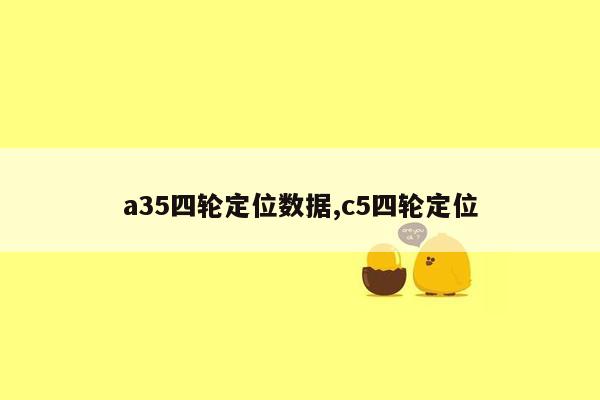 a35四轮定位数据,c5四轮定位