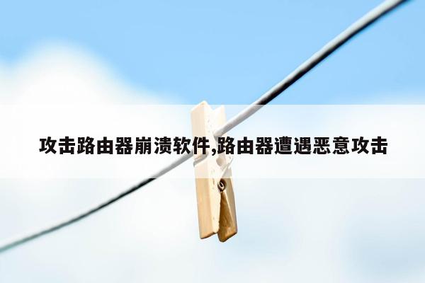 攻击路由器崩溃软件,路由器遭遇恶意攻击