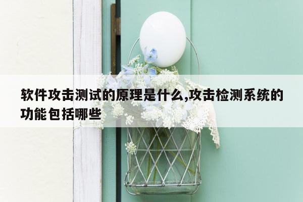 软件攻击测试的原理是什么,攻击检测系统的功能包括哪些
