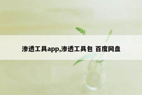 渗透工具app,渗透工具包 百度网盘