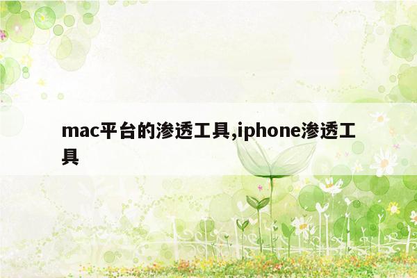 mac平台的渗透工具,iphone渗透工具