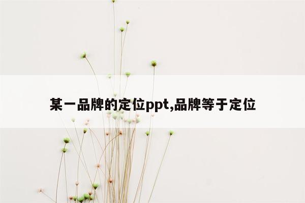 某一品牌的定位ppt,品牌等于定位