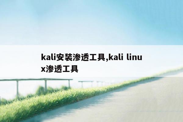 kali安装渗透工具,kali linux渗透工具