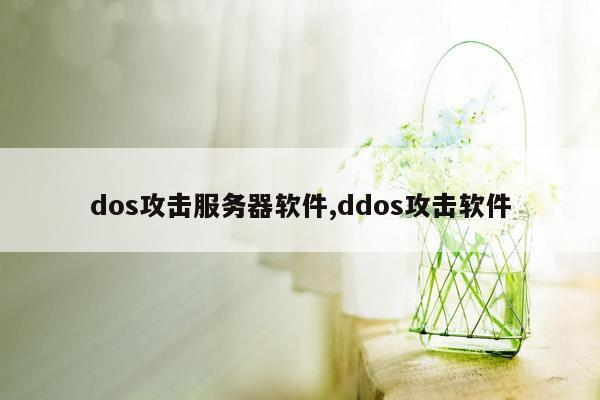 dos攻击服务器软件,ddos攻击软件