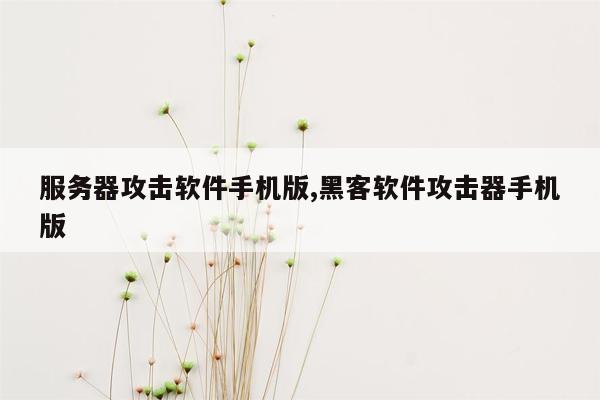 服务器攻击软件手机版,黑客软件攻击器手机版