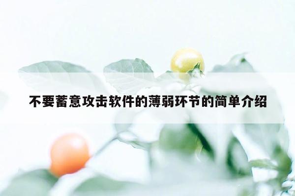 不要蓄意攻击软件的薄弱环节的简单介绍