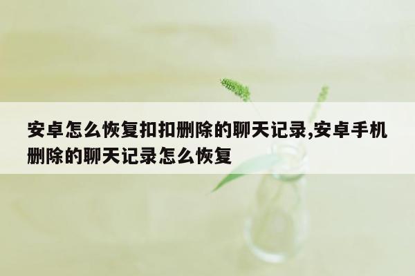 安卓怎么恢复扣扣删除的聊天记录,安卓手机删除的聊天记录怎么恢复