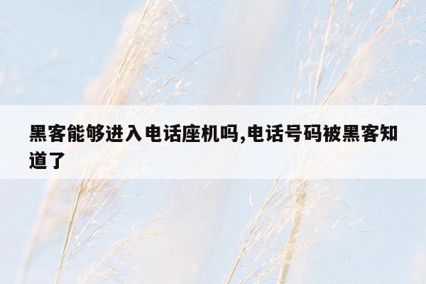 黑客能够进入电话座机吗,电话号码被黑客知道了