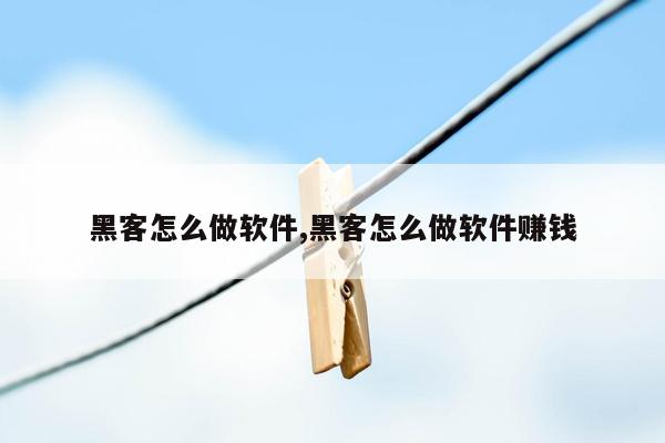 黑客怎么做软件,黑客怎么做软件赚钱