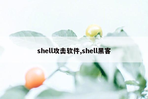 shell攻击软件,shell黑客