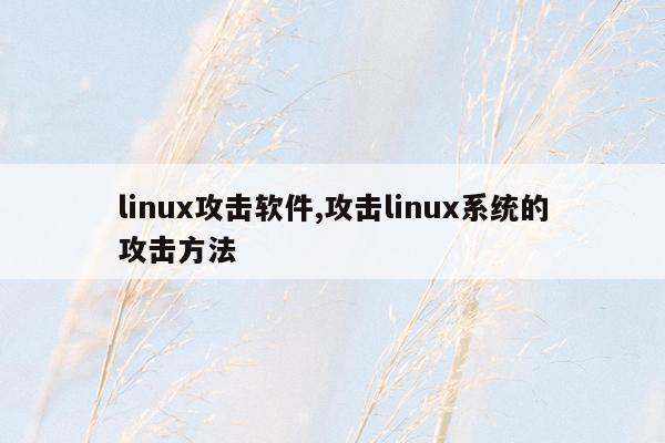 linux攻击软件,攻击linux系统的攻击方法