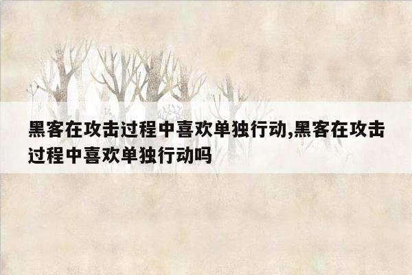 黑客在攻击过程中喜欢单独行动,黑客在攻击过程中喜欢单独行动吗