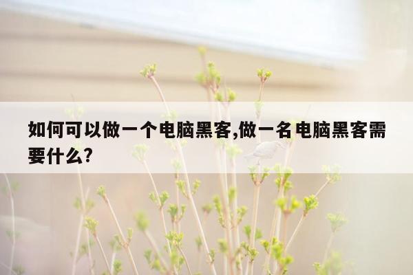 如何可以做一个电脑黑客,做一名电脑黑客需要什么?