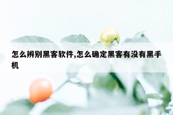 怎么辨别黑客软件,怎么确定黑客有没有黑手机