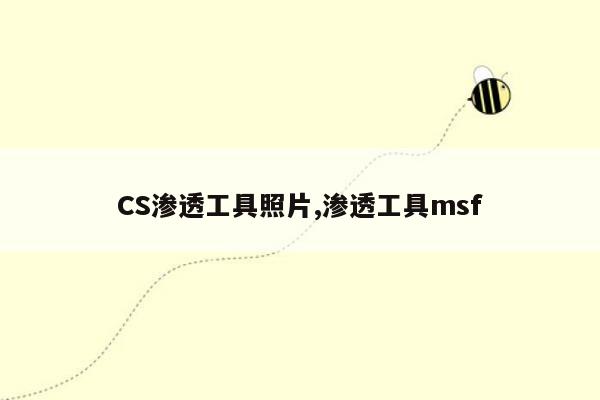 CS渗透工具照片,渗透工具msf