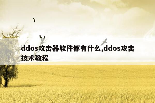 ddos攻击器软件都有什么,ddos攻击技术教程