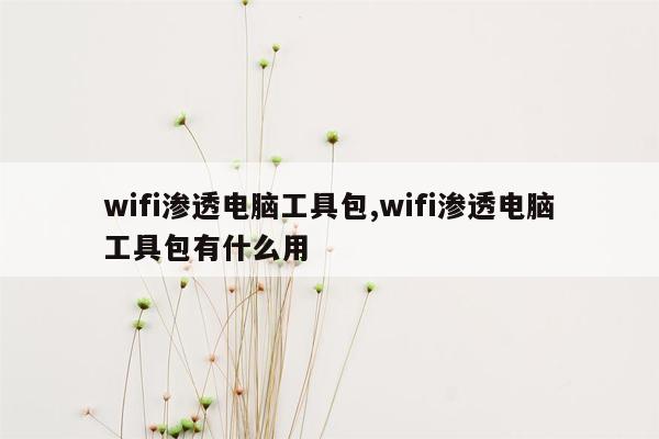 wifi渗透电脑工具包,wifi渗透电脑工具包有什么用