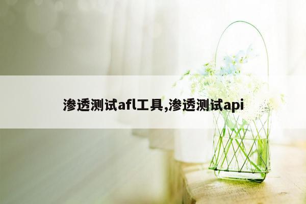 渗透测试afl工具,渗透测试api